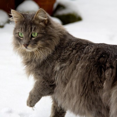 1920 x 1080 HD Wallpapers 3469